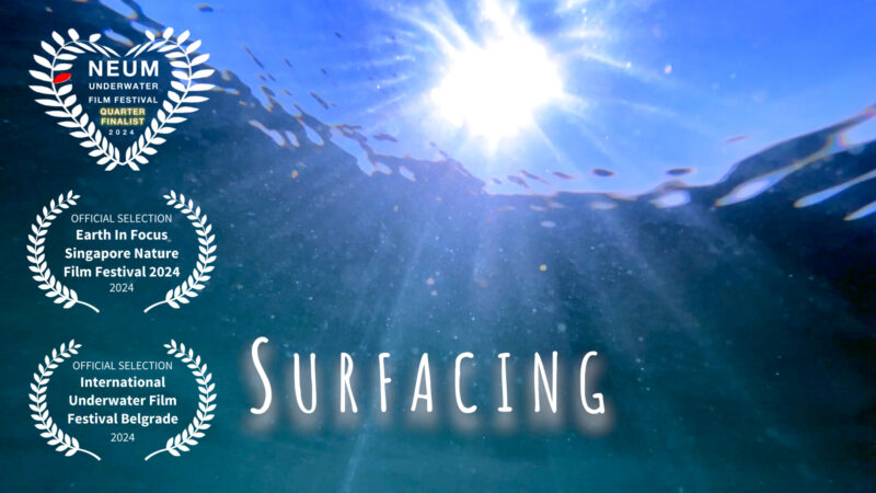 Surfacing